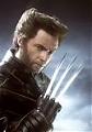 X_wolverine_X
