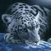 JaGuaRmaN
